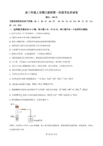 江西省宜春市丰城市第九中学2024-2025学年高三上学期第一次段考化学试卷(含答案)