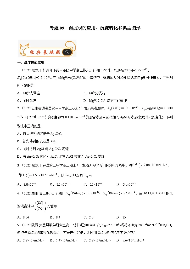 专题09 溶度积的应用,沉淀转化和典型图形-备战2022-2023学年高二化学上学期期末考试真题汇编(人教版2019选择性必修1)(原卷版)第1页
