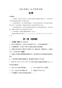 湖南省名校联考2024-2025学年高三上学期10月月考 化学试题（含答案）