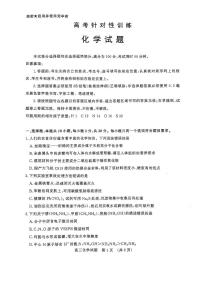 山东省济南市2025届高三下学期5月高考针对性训练（三模）化学试卷（PDF版，含答案）