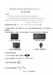 重庆市八中2025届高三下学期5月高考适应性月考化学试题（含答案）