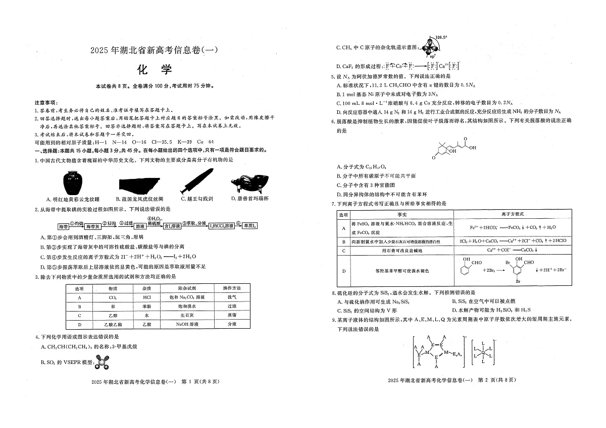 2025年湖北省新高考信息卷(一)化学第1页