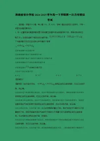 海南省部分学校2024-2025学年高一下学期第一次月考模拟考试化学(解析版)