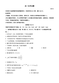 山东省枣庄市薛城区2024-2025学年高一下学期期中考试化学试题（原卷版+解析版）