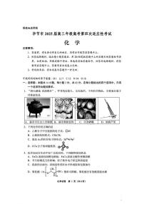 贵州省毕节市2024-2025学年高三年级高考第四次适应性考试化学试卷（图片版，含答案）