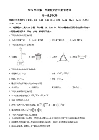浙江省杭州市西湖区浙江大学附属中学玉泉、丁兰2024-2025学年高一上学期期末考试化学试题(原卷版+解析版)