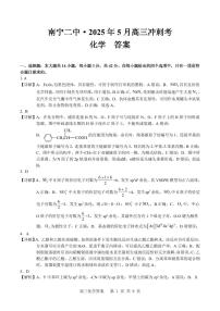 2025年广西省南宁二中高三下学期高考模拟冲刺考 化学试题(含答案)