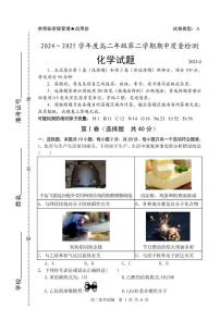 山东省枣庄市2024-2025学年高二下学期4月期中考试化学试卷（PDF版附答案）