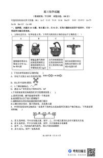陕西省西安市高新一中2025届高三下学期第十次模拟考试化学试题 (含答案)