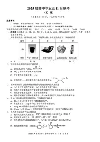 广西壮族自治区新课程教研联盟2025届高三11月联考-化学试卷（含答案）