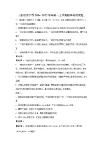 山东省济宁市2024-2025学年高一上学期期中考试化学试题（解析版）