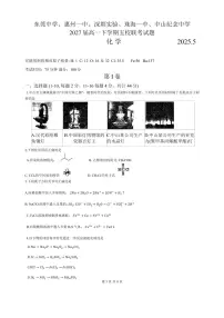 广东五校联考2025年高一下学期5月月考化学试题（含答案）