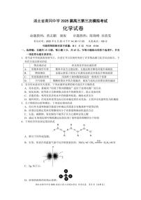 湖北省黄冈中学2025届高三高考模拟第三次模拟考-化学试题+答案