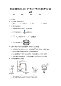 浙江省诸暨市2024-2025学年高三下学期5月适应性考试化学试题（附答案解析）