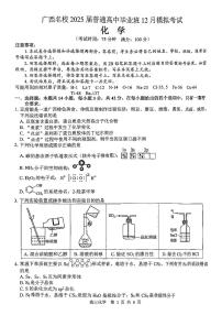 广西壮族自治区贵港市2024-2025学年高三上学期12月月考化学