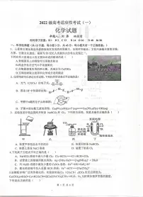 四川省绵阳中学2025届高三下学期高考适应性考试（一）化学试题（高考模拟）