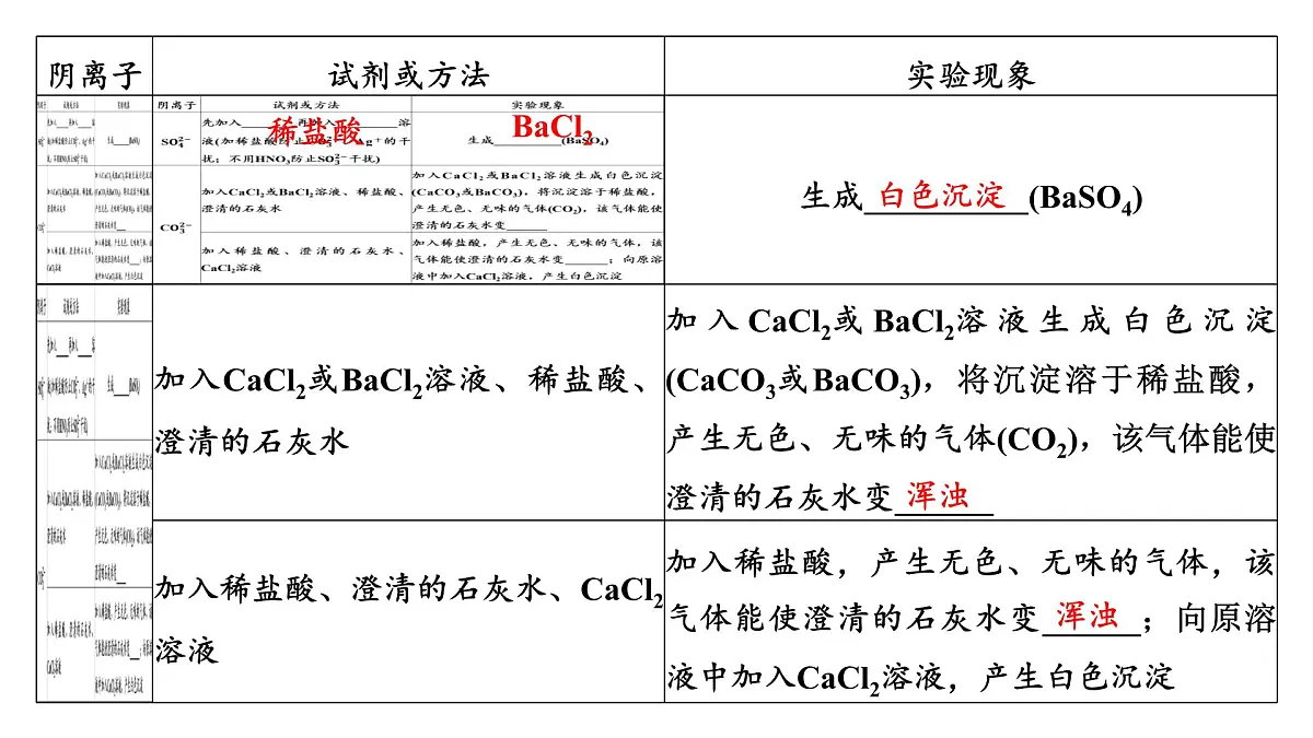 2026年高考化学一轮复习PPT课件 第23讲 常见物质(或离子)的检验与推断第8页