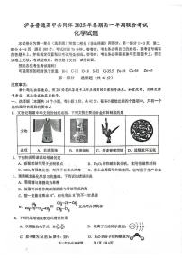 四川省泸州市泸县普通高中共同体2024-2025学年高一下学期4月期中化学试题(PDF版,含答案)含答案解析