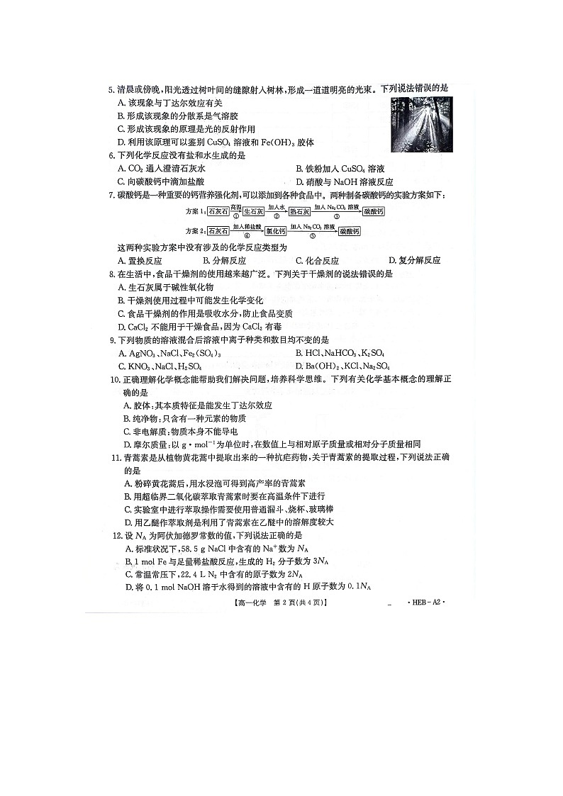 河北省保定市2024-2025学年高一上学期10月联考+化学试题第2页