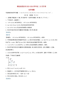 湖北省武汉市2023_2024学年高二化学上学期10月月考试题含解析