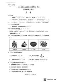 河南省新乡市部分学校2024-2025学年高二下学期6月月考化学试题（图片版，含解析）