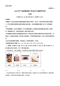 2025年高考真题——化学(广东卷) 含答案