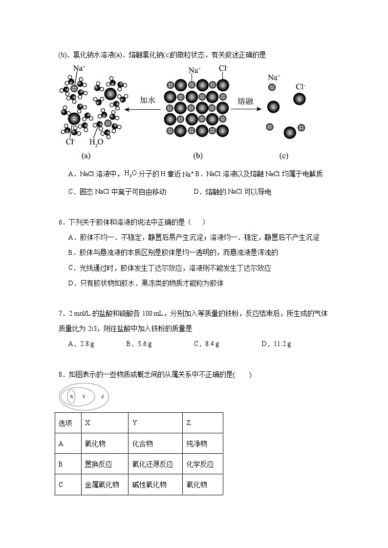 专题1物质的分类及计量期末章节复习练 苏教版化学必修第一册第2页
