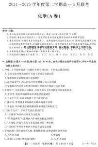安徽省县中联盟2024-2025学年高一下学期5月联考 化学试卷【含答案】