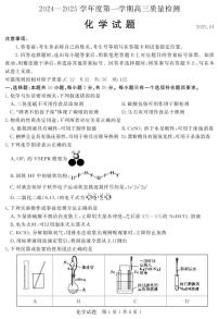 山东省济宁市2024-2025学年高三上学期1月期末考试化学试卷（PDF版附答案）