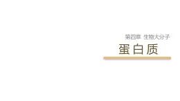 4.2+蛋白質(zhì)+課件 2025學(xué)年高二下學(xué)期化學(xué)人教版選擇性必修3