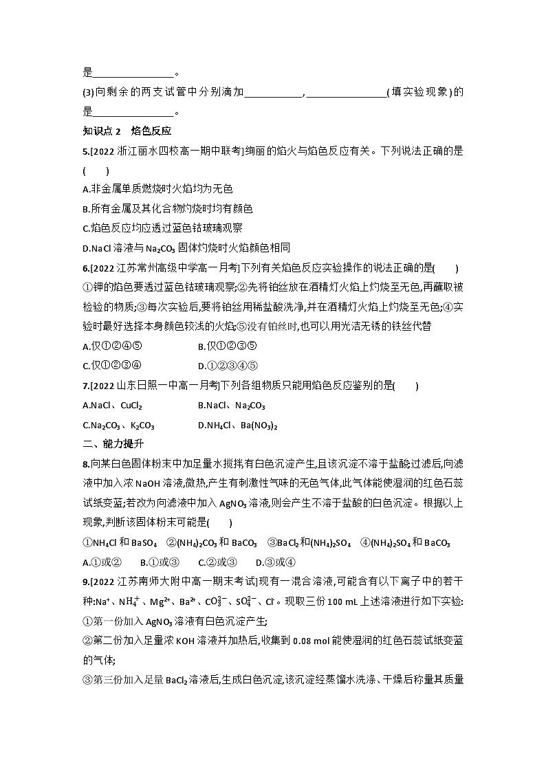 2.1.3 物质的检验 同步练习 高中化学苏教版必修第一册第2页