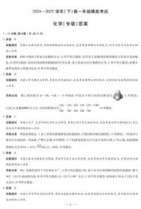 安徽省部分学校2024-2025学年高一下学期6月摸底考试化学试题（PDF版附解析）