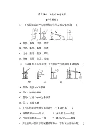 苏教版 (2019)必修 第一册研究物质的实验方法一课一练