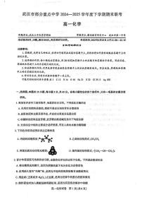 湖北武汉市部分重点中学2024-2025学年高一下学期期末联考化学试卷