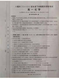 湖北省十堰市2024-2025学年高一下学期期末考试化学试卷