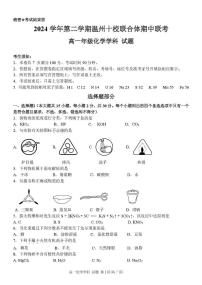 浙江省温州市十校联合体2024-2025学年高一下学期期中联考化学试题（PDF版附答案）