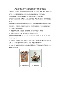 【化学】广东省普通高中2025届高三下学期二模试题（解析版）