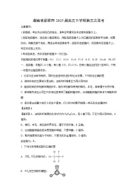 【化学】湖南省邵阳市2025届高三下学期第三次联考（解析版）