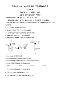 湖北省武汉市第六中学2024-2025学年高一下学期第4次月考化学试题（Word版附解析）