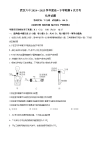 湖北省武汉市第六中学2024-2025学年高一下学期第4次月考化学试题(Word版附解析)