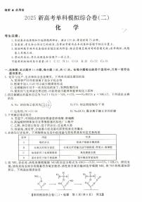 河北省市级联考2024-2025学年高三上学期11月期中考试+化学试题