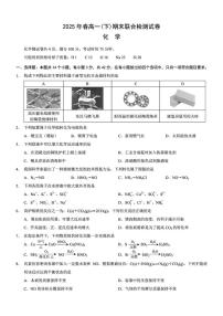 重庆市2024-2025学年高一下学期期末联合监测化学试卷+答案
