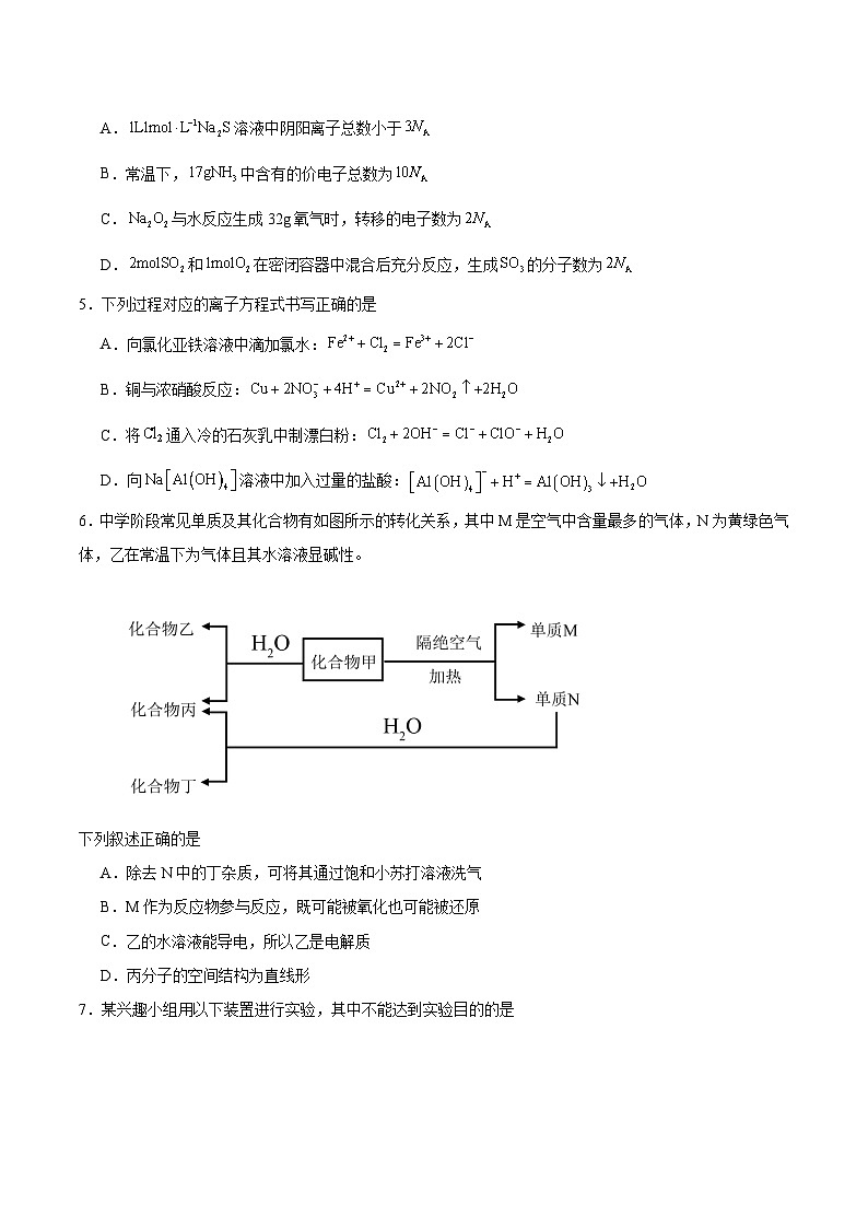河南省周口市2024-2025学年高二下学期6月期末摸底考试 化学 Word版含答案含答案解析第2页