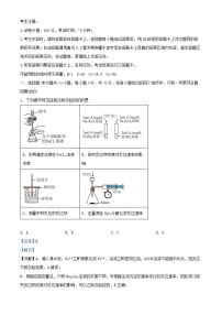 安徽省合肥市2024_2025学年高二化学上学期期中试卷含解析