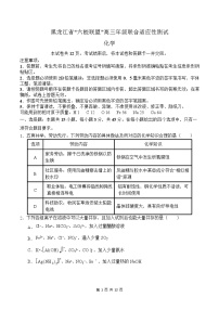 黑龙江省“六校联盟”2025届高三上学期联合适应性考试化学试卷（含答案）