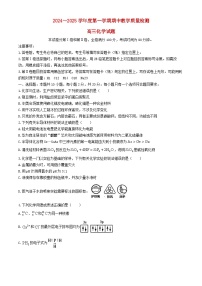 山东省济宁市2024_2025学年高三化学上学期期中试题