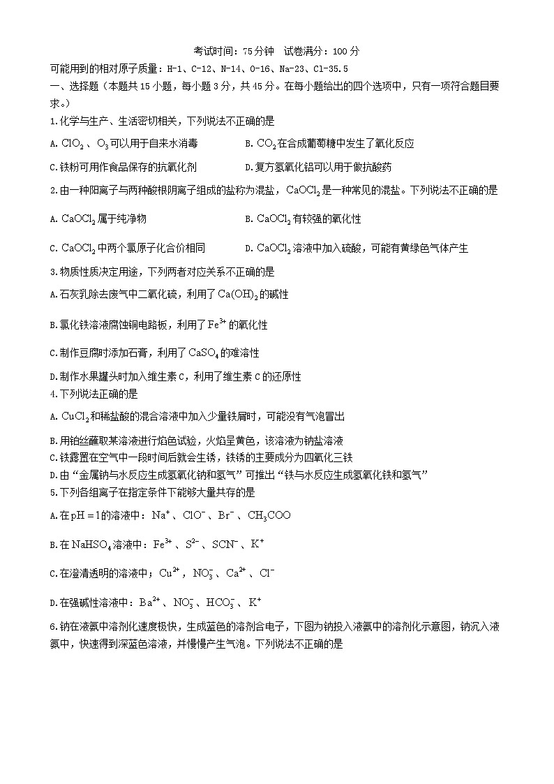 辽宁省大连市2024_2025学年高一化学上学期期中试题第1页