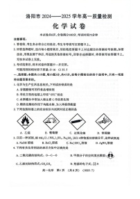 河南省洛阳市2025年高一下学期期末考试化学试卷