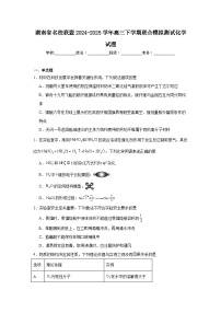 2024-2025学年湖南省名校联盟高三下学期联合模拟测试化学试题（附答案解析）