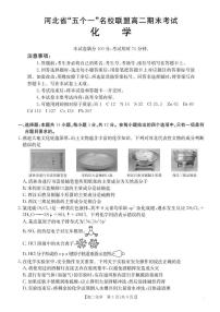 河北省-五个一-名校联盟2024-2025学年高二下学期期末考试化学试题（含答案）含答案解析
